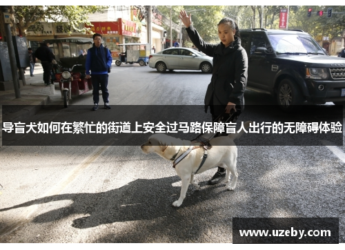 导盲犬如何在繁忙的街道上安全过马路保障盲人出行的无障碍体验